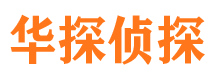 桃江找人公司